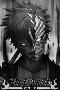 Bleach: Thousand-Year Blood War (Season 1) Complete MulTi Audio {Hindi-English-Japanese} Anime Series