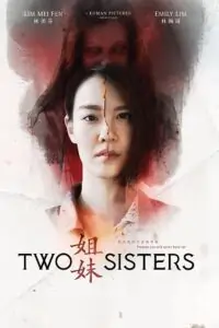 Two Sisters (2019) WEB-DL Dual Audio {Hindi-Chinese} 480p | 720p