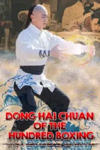 Dong Hai Chuan of the Hundred Boxing (2018) WEB-DL Dual Audio {Hindi-Chinese}