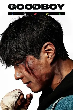 Good Boy (2025) Season 1 Dual Audio (Hindi + Korean) Web Series 480p | 720p | 1080p