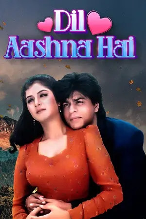 Dil Aashna Hai (1992) HDRip Hindi Full Movie 480p | 720p | 1080p