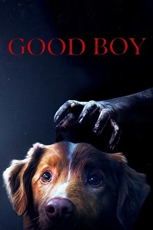 Good Boy (2025) WEB-DL {English With Subtitles} Full Movie
