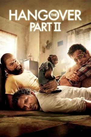 The Hangover Part 2 (2011) Dual Audio {Hindi-English} 480p | 720p | 1080p