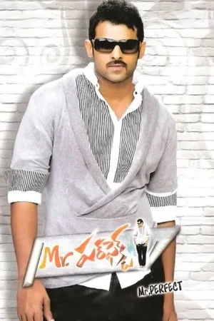 Mr Perfect (2011) Hindi Dubbed Full South Movie