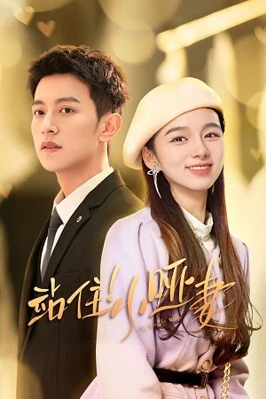 My Lovely Wife (Season 1) Hindi ORG Dubbed C-Drama Series 480p | 720p | 1080p