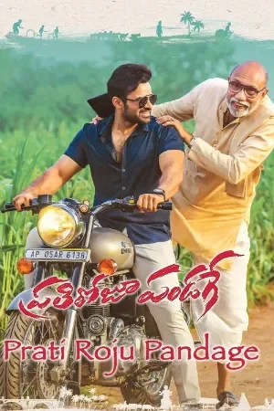 Prati Roju Pandaage (2019) Dual Audio [Hindi + Telugu] 480p | 720p | 1080p
