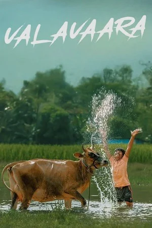 Valavaara (2026) Dual Audio [Hindi + Kannada] WeB-DL 480p | 720p | 1080p