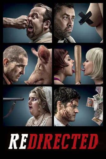 Redirected (2014) BluRay Dual Audio [Hindi ORG. + English] Full Movie 480p | 720p | 1080p