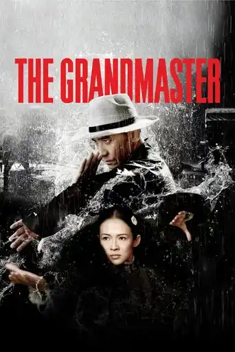 The Grandmaster (2013) BluRay Dual Audio [Hindi ORG. + Chinese] Full Movie 480p | 720p | 1080p